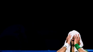 Rublev joins Djokovic in Turin ATP Finals quartet