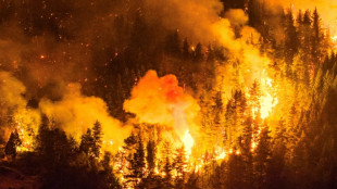 Inc&ecirc;ndios florestais devastam mais de 15 mil hectares na Patag&ocirc;nia argentina
