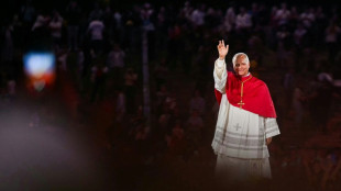 Pope to hold giant mass on Champs-Elysees