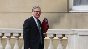 Starmer, 'accordo di buon senso con Ue, guardiamo avanti'