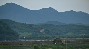 Seoul says North Korean mines 'highly suspected' as cause of DMZ blast