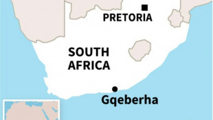 Gunmen kill eight at birthday party in S.Africa: police&nbsp; 