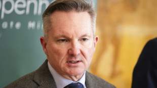 COP31-Verhandlungsf&uuml;hrer: "Wir m&uuml;ssen von den fossilen Brennstoffen wegkommen"