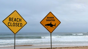 Shark kills man in Australia's Queensland state