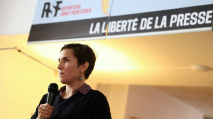 Outcry, questions after France&rsquo;s 'chilling' journalist arrest