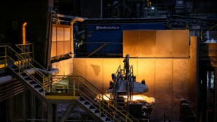 L'UE adopte un plan de soutien sans pr&eacute;c&eacute;dent &agrave; une industrie de l'acier en grand p&eacute;ril