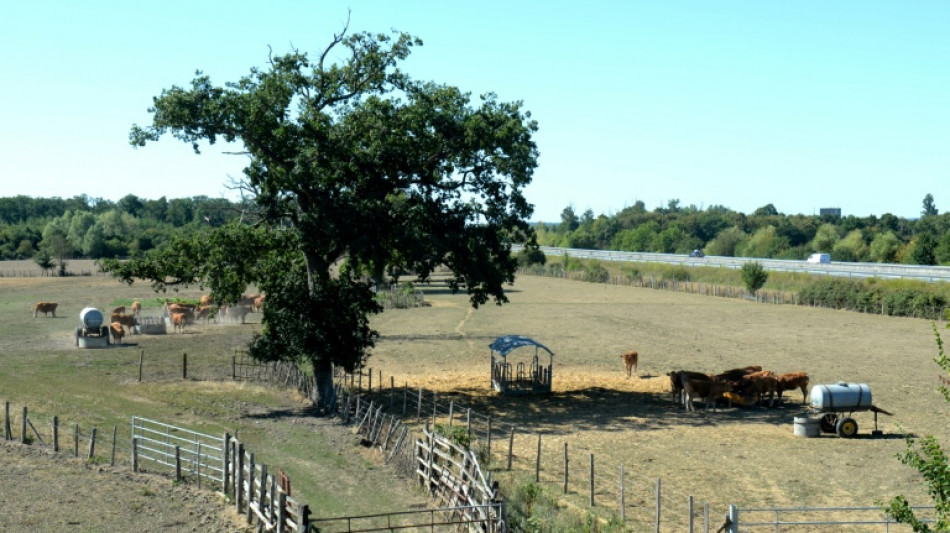 La France s'appr&ecirc;te &agrave; subir une vague de chaleur exceptionnelle