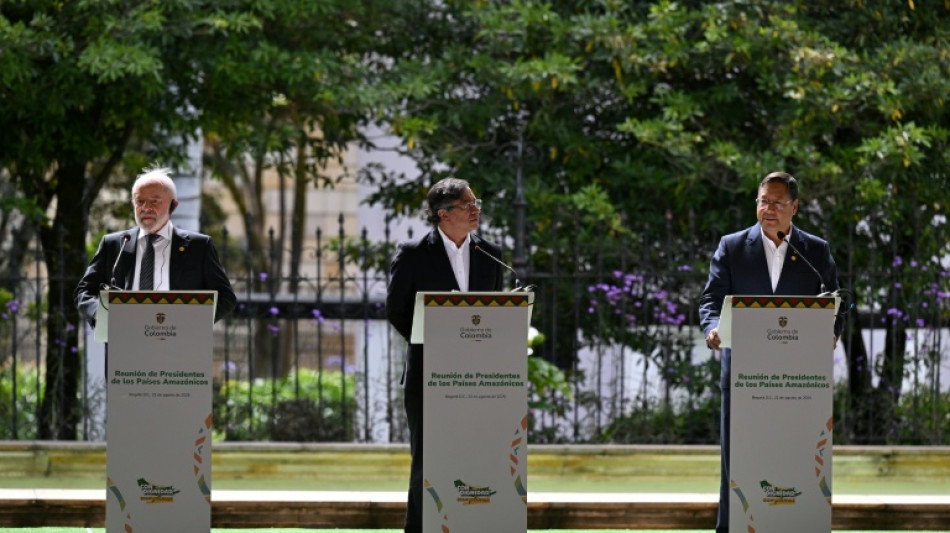 Colombia, Brasil y Bolivia unen fuerzas por la Amazonía de cara a la COP30