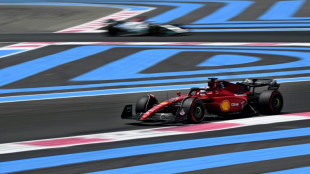 Leclerc tops Verstappen in opening practice for French GP