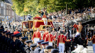 Dutch unveil 17-bn-euro package for hard-hit households