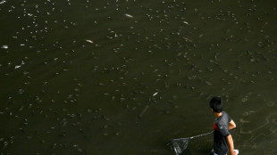 Thailand nets 1.3 million kilograms of invasive fish