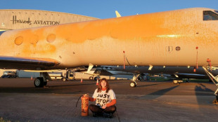 UK activists who tried to paint Taylor Swift jet spared jail