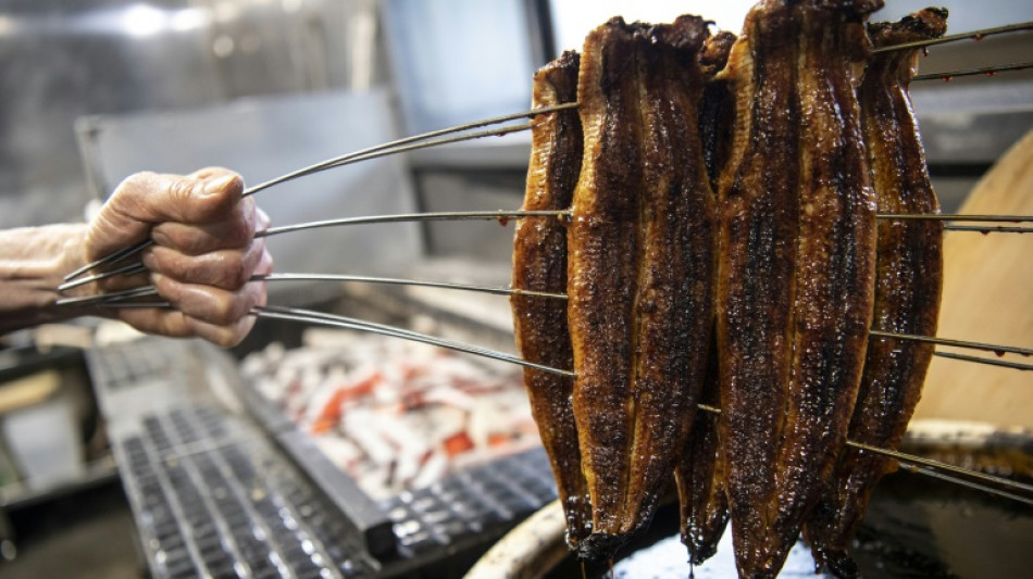 Una macroperaci&oacute;n contra el tr&aacute;fico de anguila confisca 18 toneladas en Espa&ntilde;a