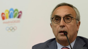 Espa&ntilde;a abandona su proyecto de candidatura a los Juegos Ol&iacute;mpicos de Invierno de 2030 