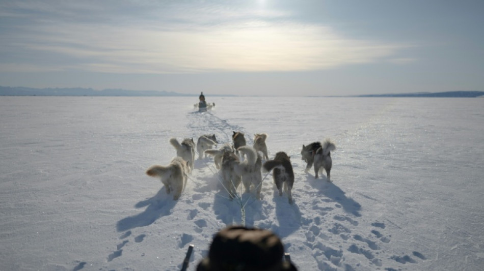 Greenland's elite dogsled unit patrols desolate, icy Arctic