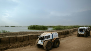 IA pode marcar um ponto de virada na ajuda humanit&aacute;ria
