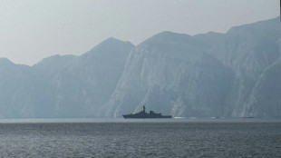 Abfuhr f&uuml;r Trump: Bundesregierung lehnt Marine-Hilfe in Stra&szlig;e von Hormus ab