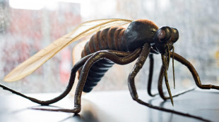 Iss, in Italia i casi West Nile aumentati da 173 a 275