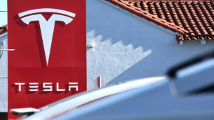 Acea: Tesla-Verkäufe in Europa seit Jahresbeginn um fast die Hälfte geschrumpft
