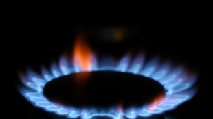 Br&uuml;ssel macht Pl&auml;ne f&uuml;r weniger Abh&auml;ngigkeit von russischem Gas