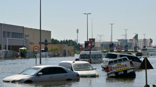 Oman, UAE deluge 'most likely' linked to climate change: scientists