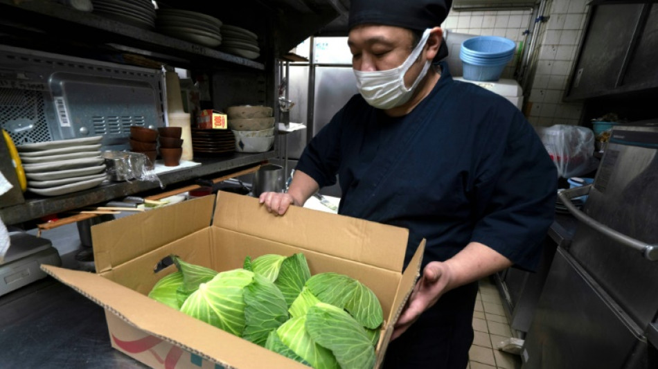 Au Japon, le prix du chou s'envole avec le thermom&egrave;tre