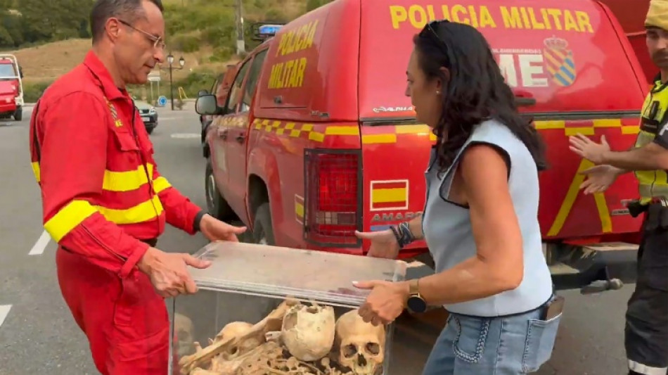 Bones of medieval kings saved from Spanish wildfire