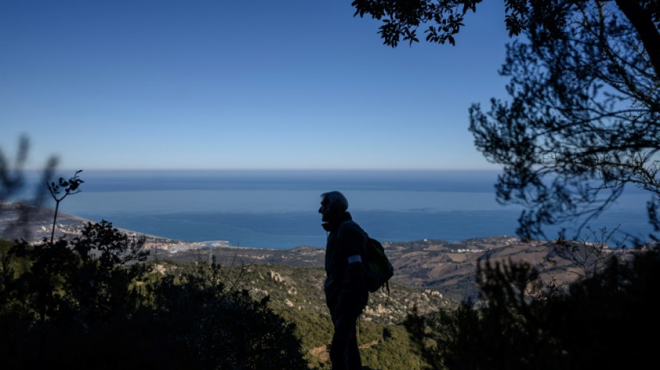 Pesticides: &agrave; pied de la M&eacute;diterran&eacute;e &agrave; Paris pour d&eacute;fendre la for&ecirc;t