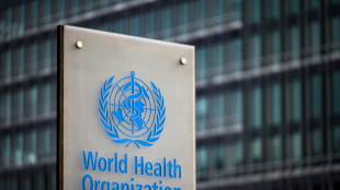 Les n&eacute;gociations se poursuivent &agrave; l'OMS pour pr&eacute;parer le monde aux pand&eacute;mies