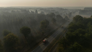 Milhares de evacuados por inc&ecirc;ndios voltam para casa na Espanha e na Fran&ccedil;a, sob novo alerta de calor