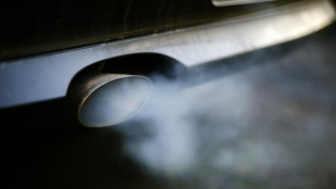 Umwelthilfe: Politikerinnen und Politiker nutzen wieder st&auml;rker Verbrenner-Autos