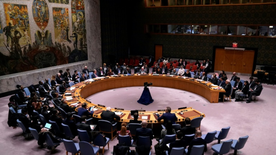 Israel&iacute;es y palestinos protagonizan acalorado debate en Consejo de Seguridad de la ONU