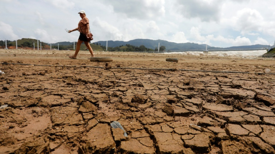 Por sequ&iacute;a, Colombia deja de exportar energ&iacute;a a Ecuador, que anuncia racionamiento