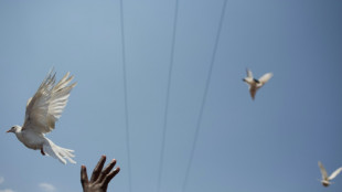 Bundesregierung gibt Startschuss f&uuml;r Gesetz zur Demokratief&ouml;rderung