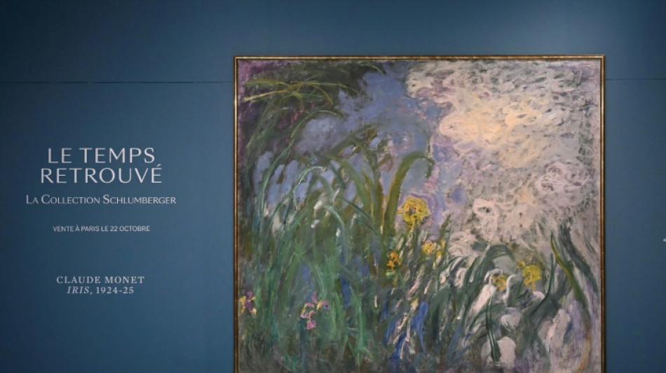 "Iris" de Monet devient l'oeuvre d'art la plus ch&egrave;re vendue en France