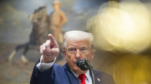 Trump habla ante el Congreso tras seis semanas de v&eacute;rtigo