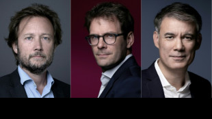 Congrès du PS: les deux candidats à la conquête de Boris Vallaud