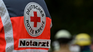 Linienbus prallt frontal gegen Baum: F&uuml;nf Menschen in Niedersachsen verletzt