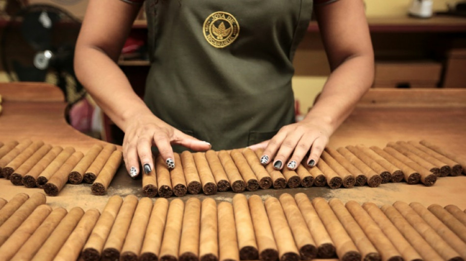 Les cigares nicaraguayens gagnent en respectabilit&eacute; et en parts de march&eacute;