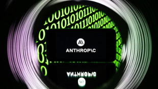 Anthropic utilizar&aacute; centros de dados da SpaceX para sua IA