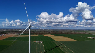 Programmation énergétique: débats scrutés au Sénat, sur fond de discorde gouvernementale
