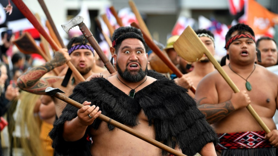 Des milliers de manifestants pour les droits des Maoris en Nouvelle-Z&eacute;lande
