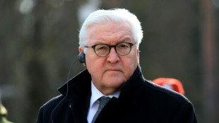 Ukrainischer Botschafter greift Bundespr&auml;sidenten wegen Ukraine-Konzerts an