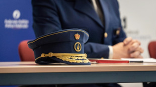 Gran operaci&oacute;n contra la mafia italiana en varios pa&iacute;ses de Europa 