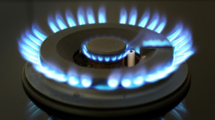 Ministerpr&auml;sidenten lehnen zeitlichen Ablauf der Gaspreisbremse ab
