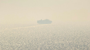 Black Sea ships carrying grain hit insurance obstacle