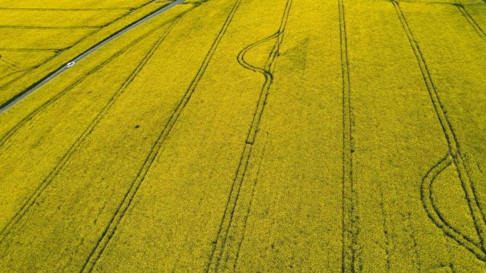 &Ouml;zdemir dringt auf Ende von Biosprit aus Nahrungspflanzen