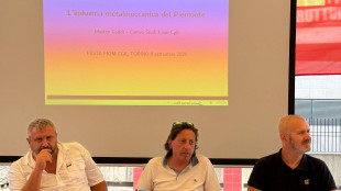 Lodi (Fiom), il governo ripristini il Fondo automotive che ha cancellato due anni fa