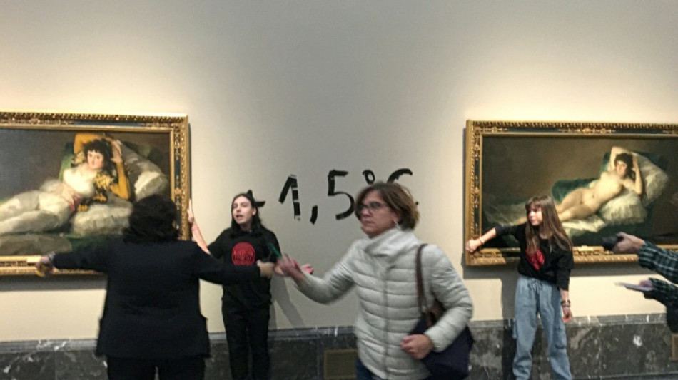 Klimaaktivistinnen kleben sich in Madrid an Rahmen von Goya-Gemälden fest