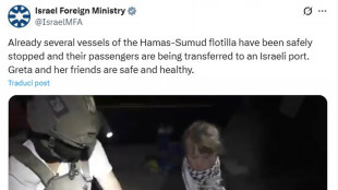 Israele ferma Greta, 'lei e i suoi amici sono sani e salvi'